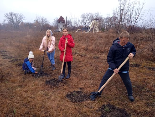 В детском экоселе в Украинке заложен сосновый лес