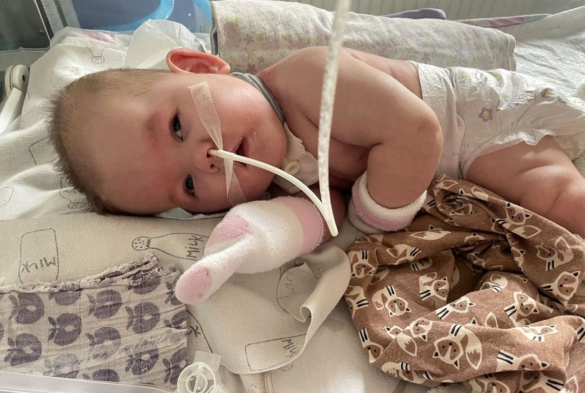 Let’s Help Mark Finally Come Home